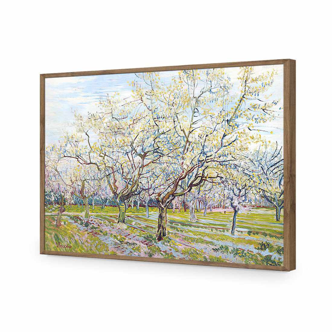 The White Orchard - Van Gogh-Acrylic-Wall Art Design-Without Border-Acrylic - Natural Frame-45x30cm-Wall Art Designs