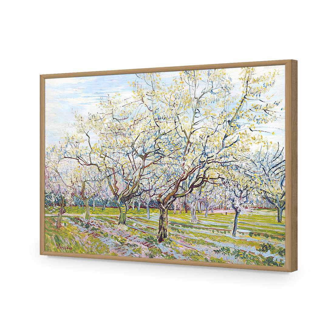 The White Orchard - Van Gogh-Acrylic-Wall Art Design-Without Border-Acrylic - Oak Frame-45x30cm-Wall Art Designs