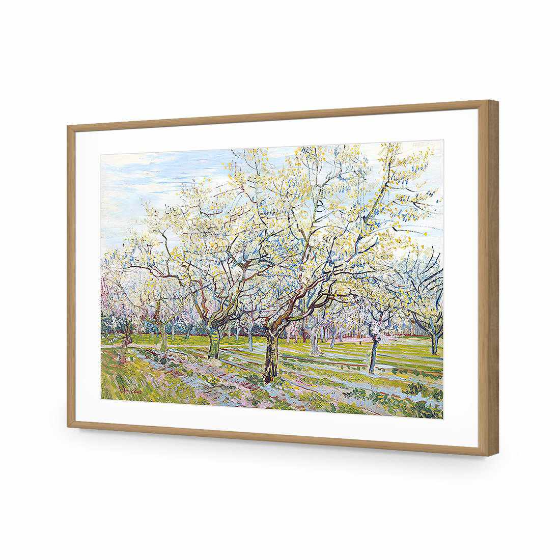 The White Orchard - Van Gogh-Acrylic-Wall Art Design-With Border-Acrylic - Oak Frame-45x30cm-Wall Art Designs
