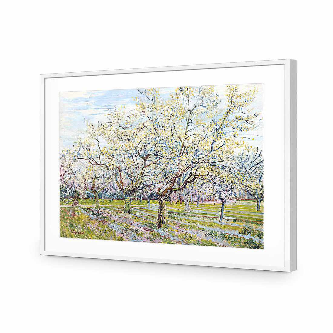 The White Orchard - Van Gogh-Acrylic-Wall Art Design-With Border-Acrylic - White Frame-45x30cm-Wall Art Designs