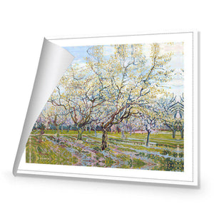 The White Orchard by Van Gogh | Standard Canvas | No Frame | Rolled Canvas