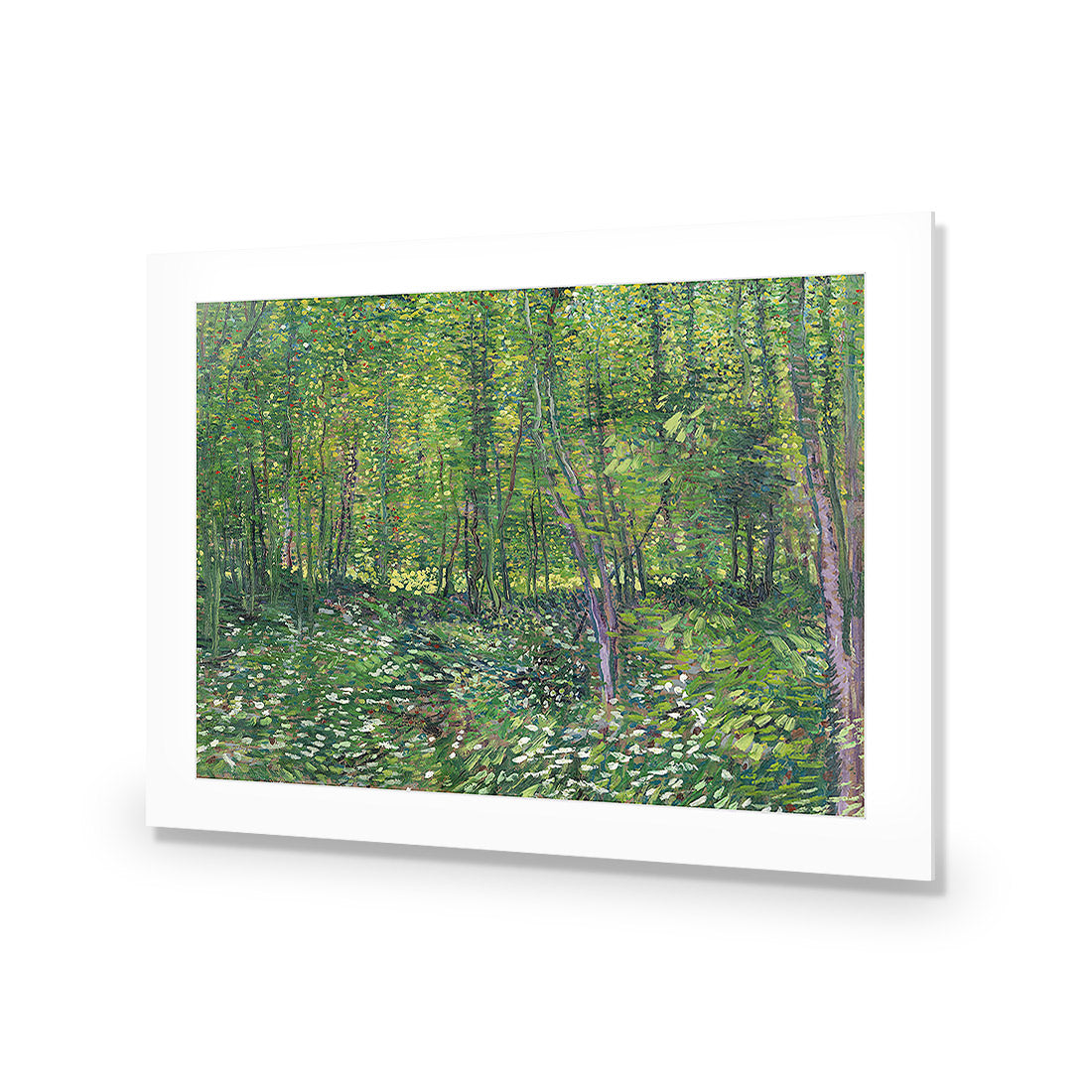 Trees And Undergrowth - Van Gogh Acrylic Glass Art