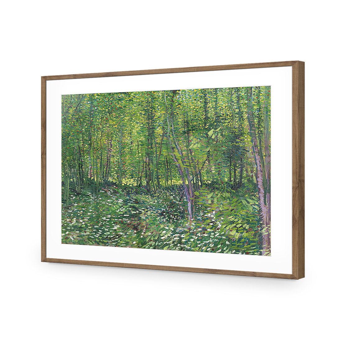 Trees And Undergrowth - Van Gogh Acrylic Glass Art