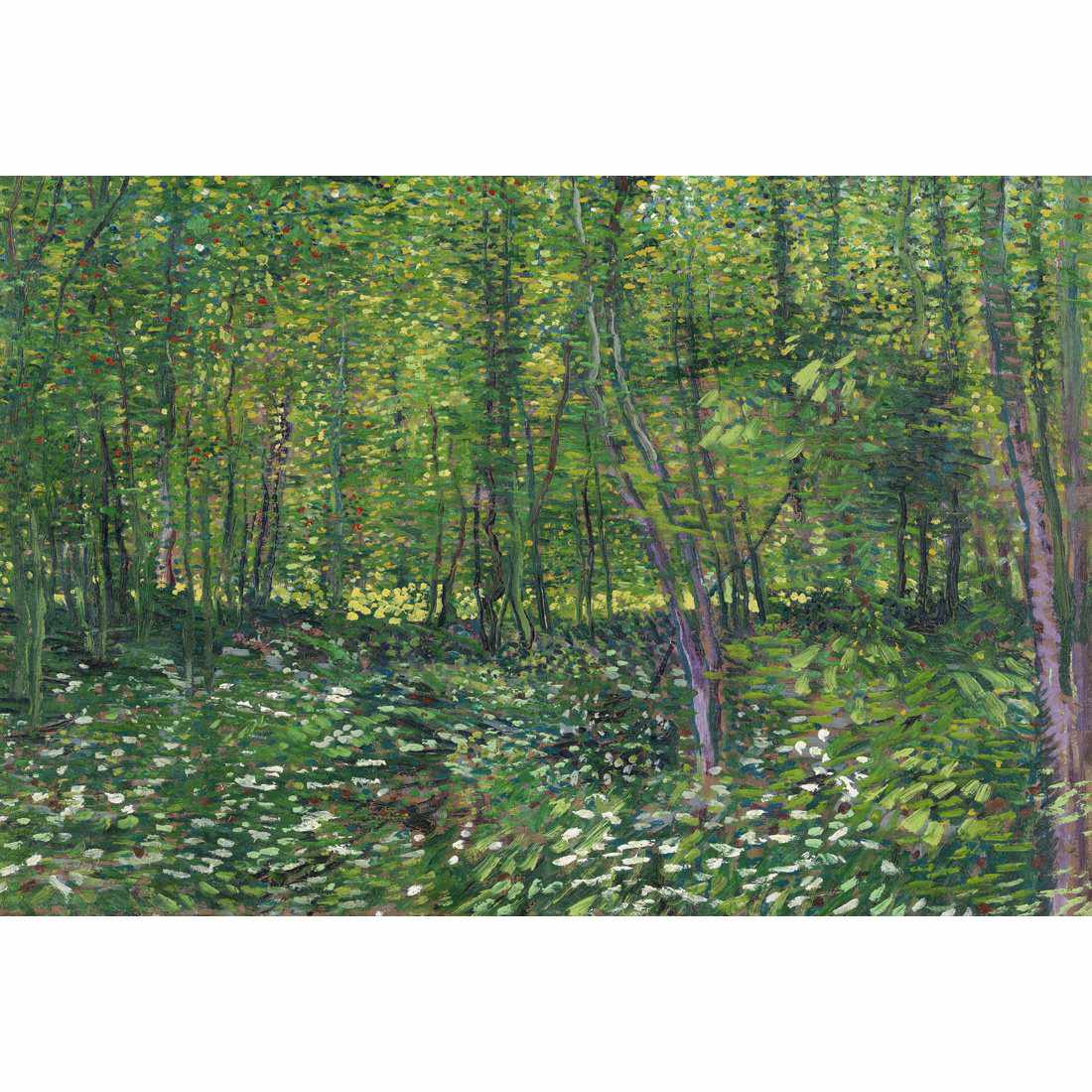 Trees And Undergrowth - Van Gogh Canvas Art-Canvas-Wall Art Designs-45x30cm-Canvas - No Frame-Wall Art Designs