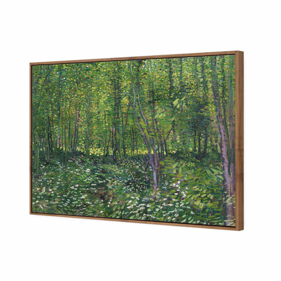 Trees And Undergrowth - Van Gogh Canvas Art-Canvas-Wall Art Designs-45x30cm-Canvas - Natural Frame-Wall Art Designs