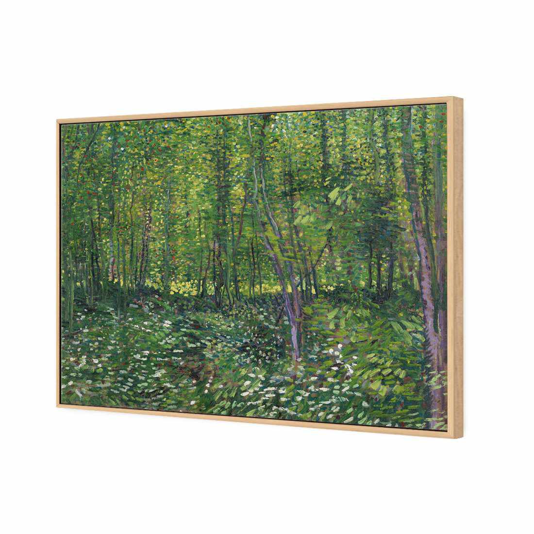 Trees And Undergrowth - Van Gogh Canvas Art-Canvas-Wall Art Designs-45x30cm-Canvas - Oak Frame-Wall Art Designs
