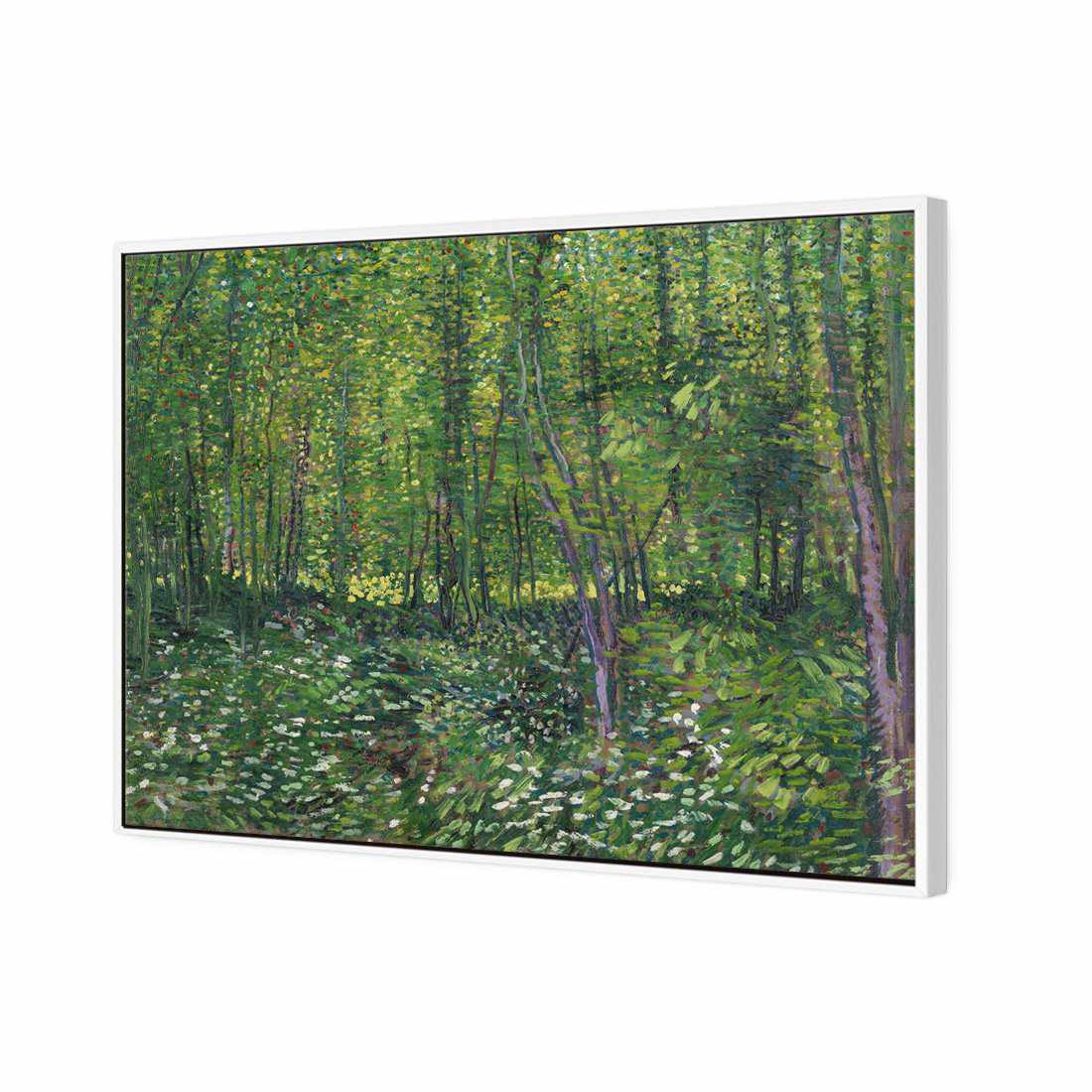 Trees And Undergrowth - Van Gogh Canvas Art-Canvas-Wall Art Designs-45x30cm-Canvas - White Frame-Wall Art Designs
