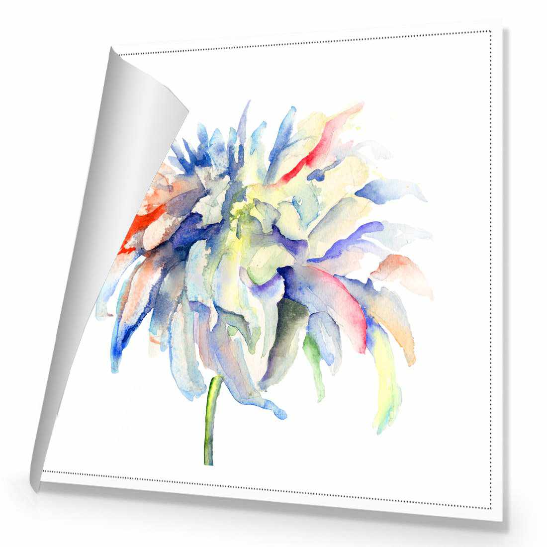 Fairy Floss Canvas Art-Canvas-Wall Art Designs-30x30cm-Rolled Canvas-Wall Art Designs
