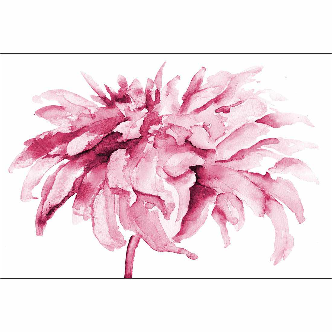 Fairy Floss, Pink Canvas Art-Canvas-Wall Art Designs-45x30cm-Rolled Canvas-Wall Art Designs