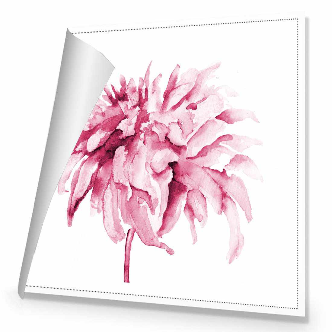 Fairy Floss, Pink Canvas Art-Canvas-Wall Art Designs-30x30cm-Rolled Canvas-Wall Art Designs