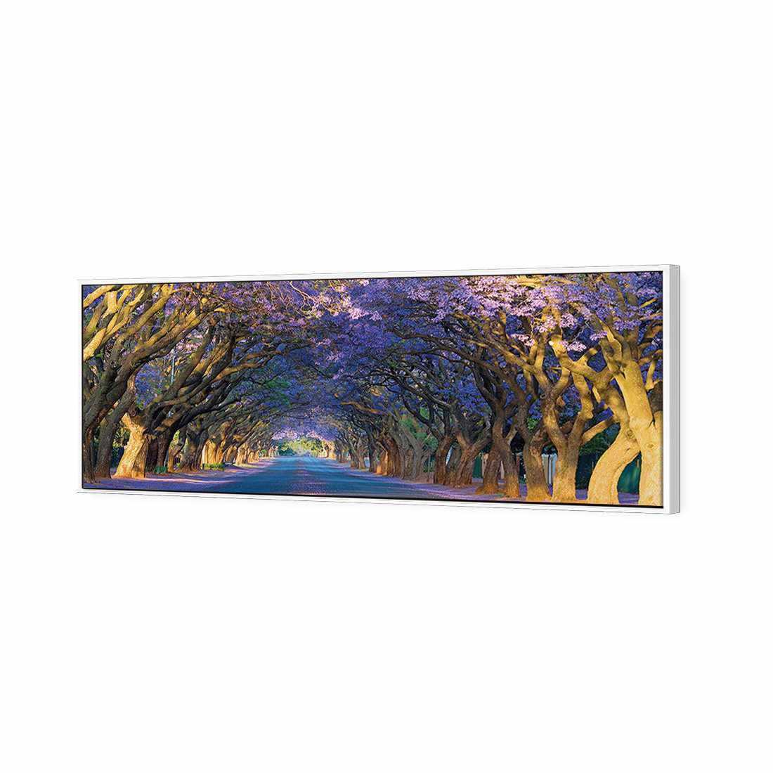 Jacaranda Alley, Long Canvas Art-Canvas-Wall Art Designs-60x20cm-Canvas - White Frame-Wall Art Designs