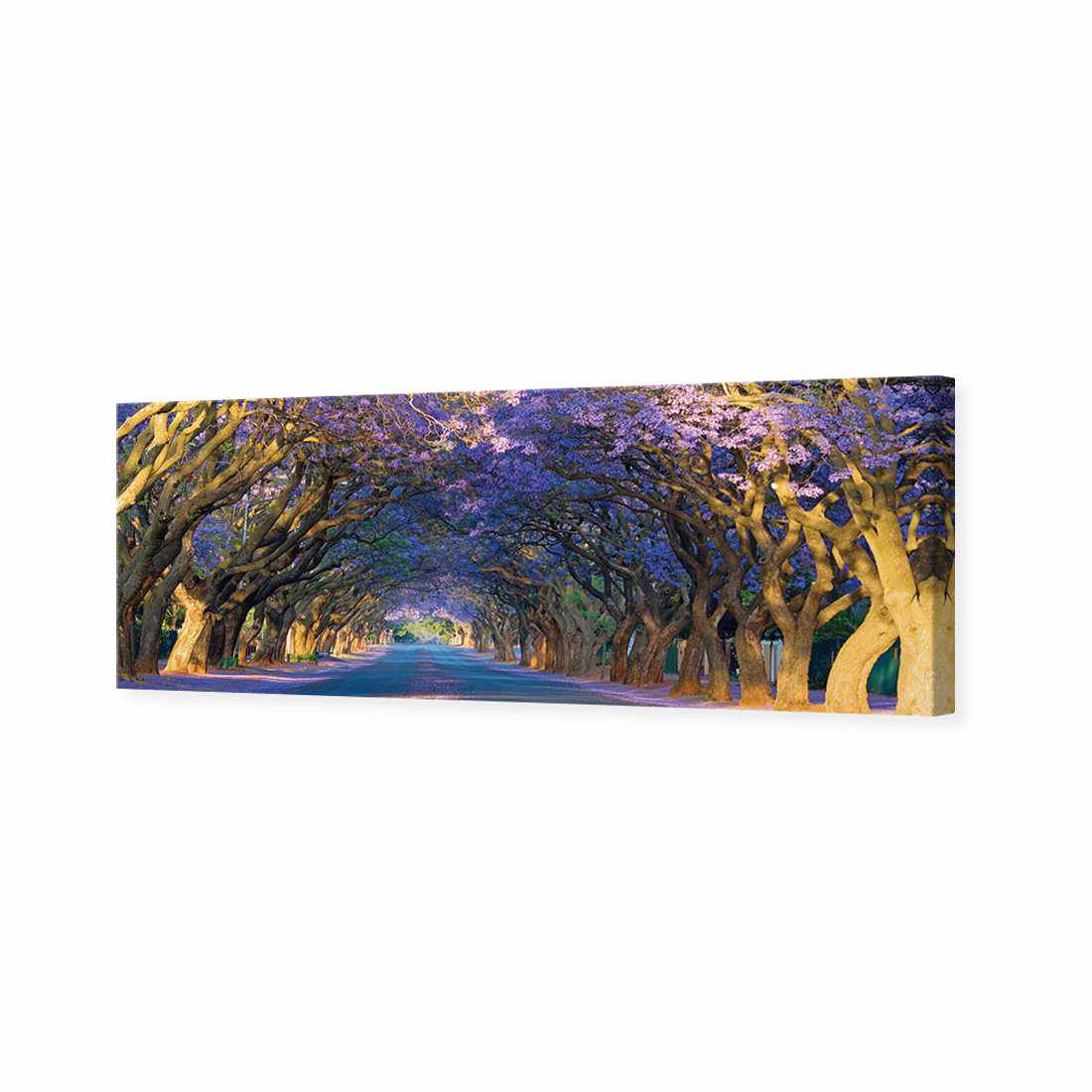 Jacaranda Alley, Long Canvas Art-Canvas-Wall Art Designs-60x20cm-Canvas - No Frame-Wall Art Designs