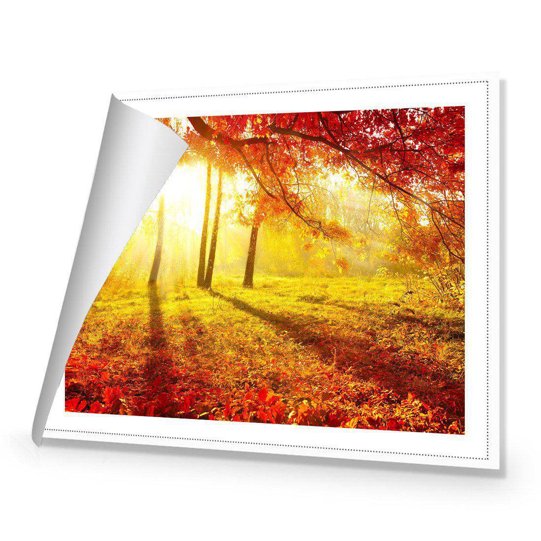Sun Shadows | Standard Canvas | No Frame | Rolled Canvas