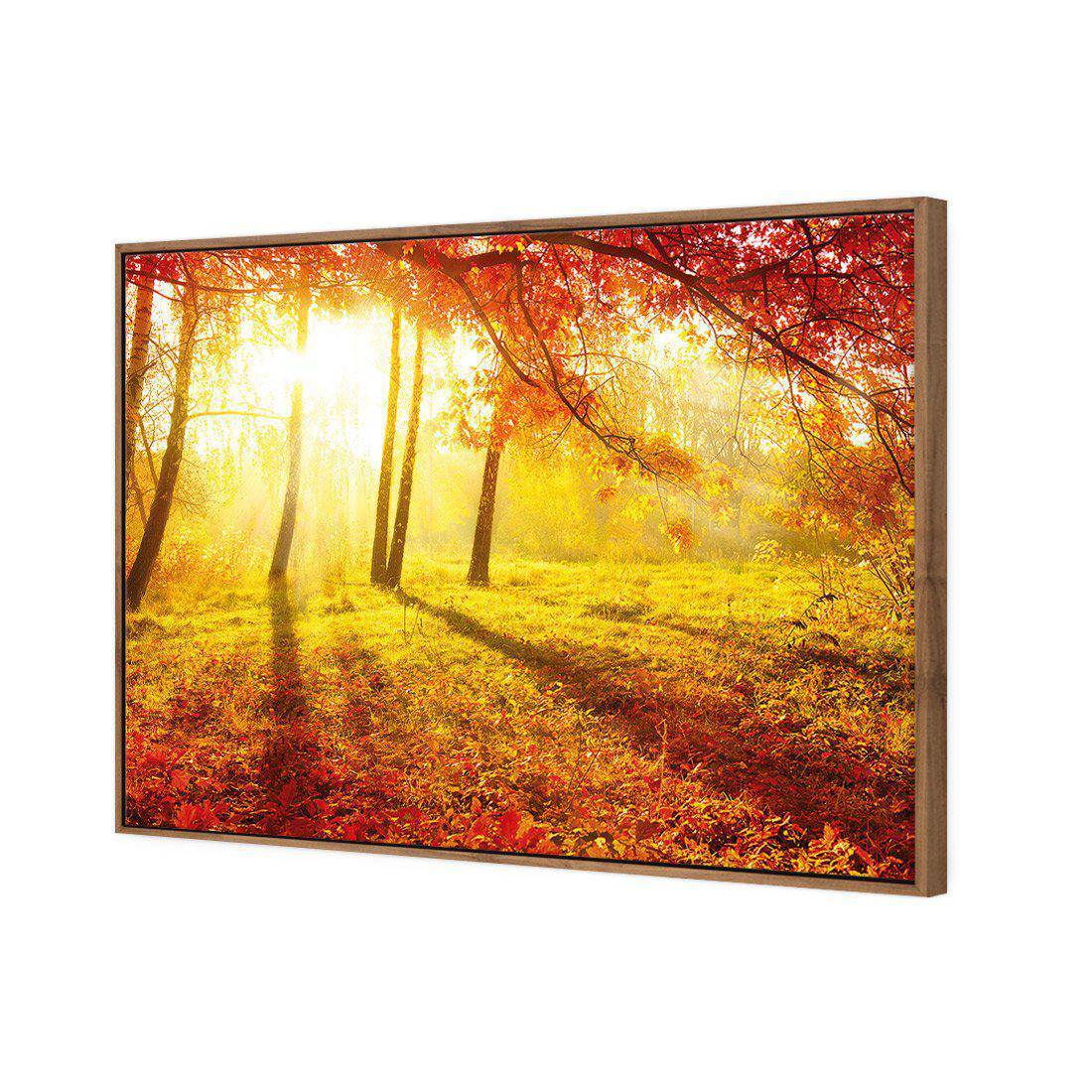 Sun Shadows Canvas Art-Canvas-Wall Art Designs-45x30cm-Canvas - Natural Frame-Wall Art Designs