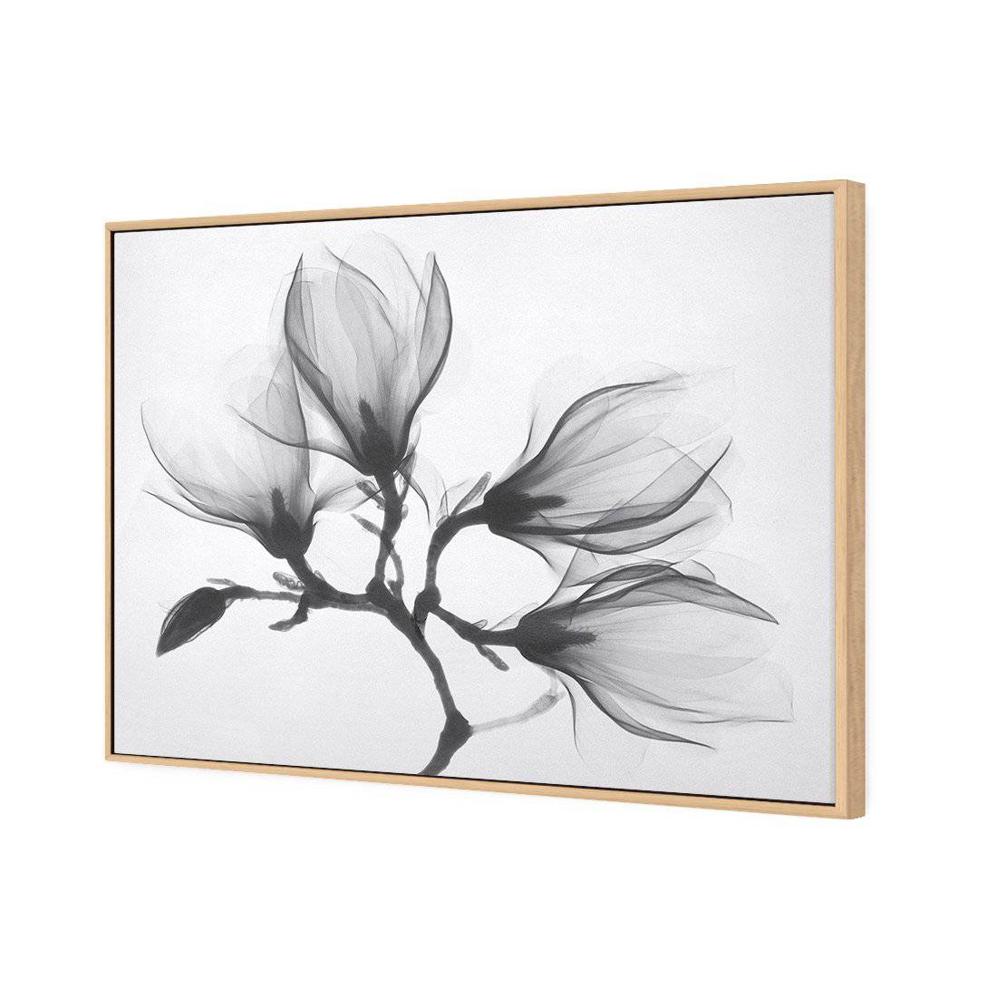 Magnolia Blossoms Canvas Art-Canvas-Wall Art Designs-45x30cm-Canvas - Oak Frame-Wall Art Designs