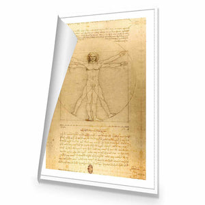 Vitruvian Man by Leonardo Da Vinci | Standard Canvas | No Frame | Rolled Canvas