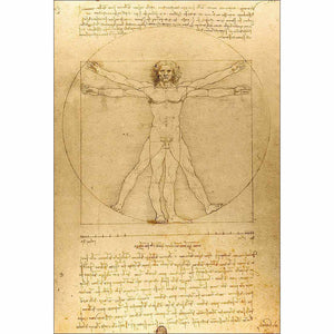 Vitruvian Man by Leonardo Da Vinci