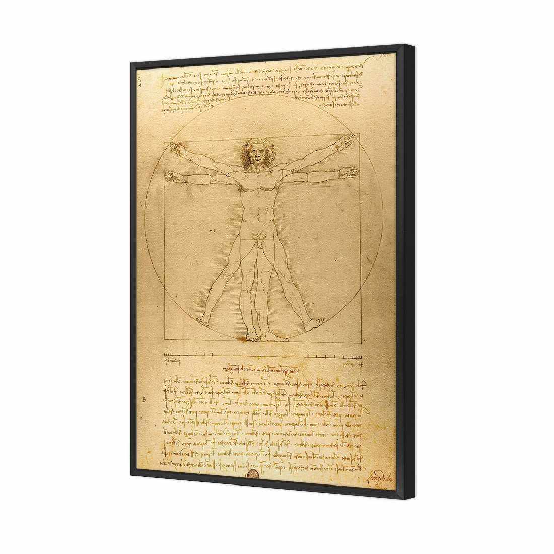 Vitruvian Man - Leonardo Da Vinci Canvas Art-Canvas-Wall Art Designs-45x30cm-Canvas - Black Frame-Wall Art Designs