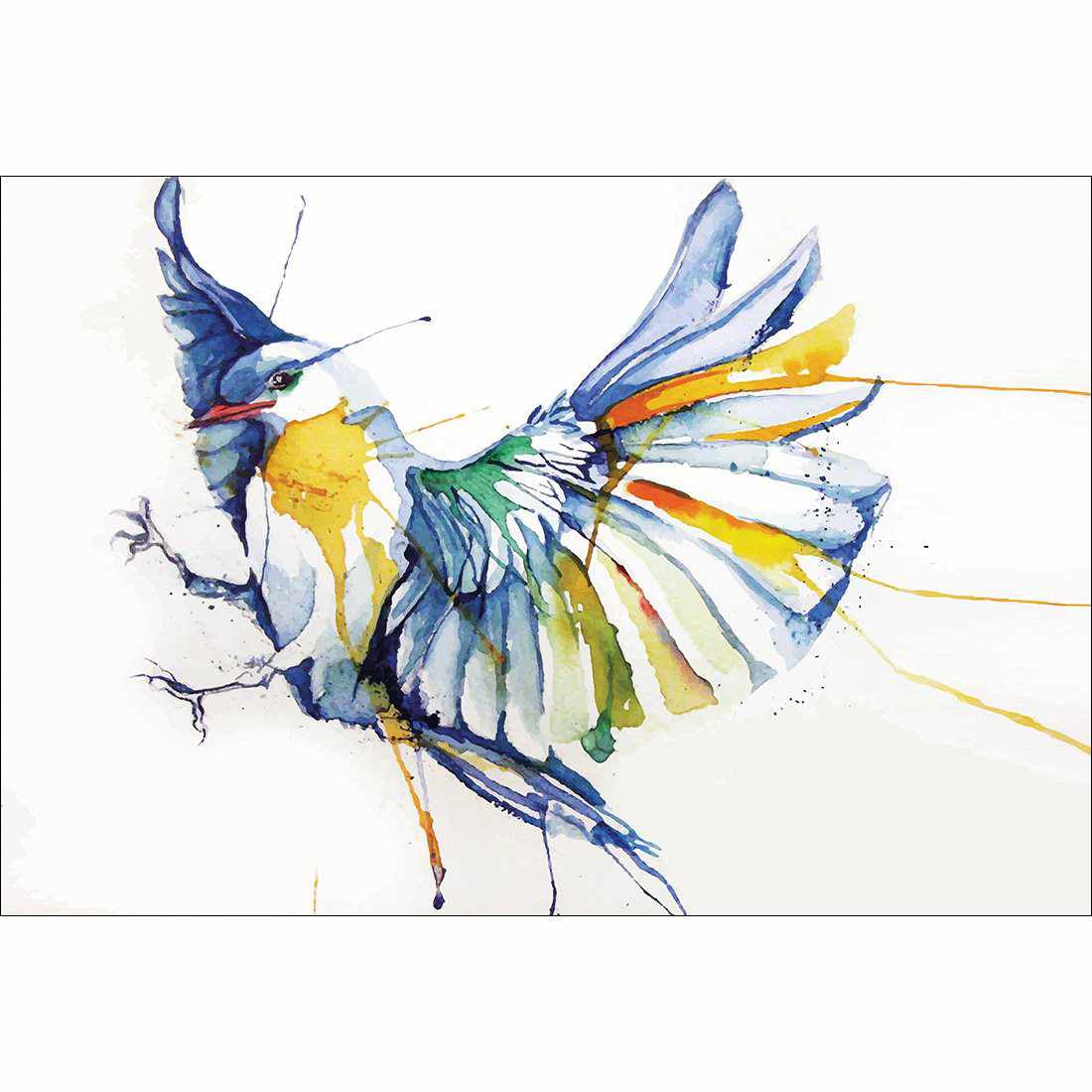 Watercolour Bird