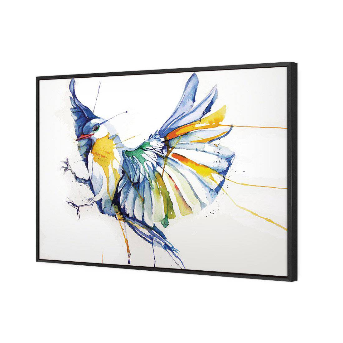 Watercolour Bird | Standard Canvas | Floating Frame | Black