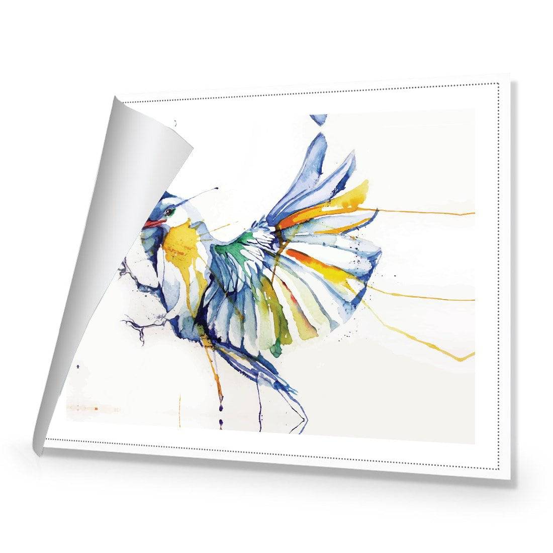 Watercolour Bird Canvas Art-Canvas-Wall Art Designs-45x30cm-Rolled Canvas-Wall Art Designs