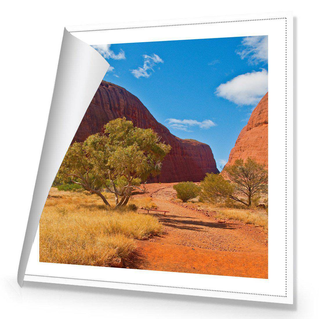 Into The Outback Canvas Art-Canvas-Wall Art Designs-30x30cm-Rolled Canvas-Wall Art Designs