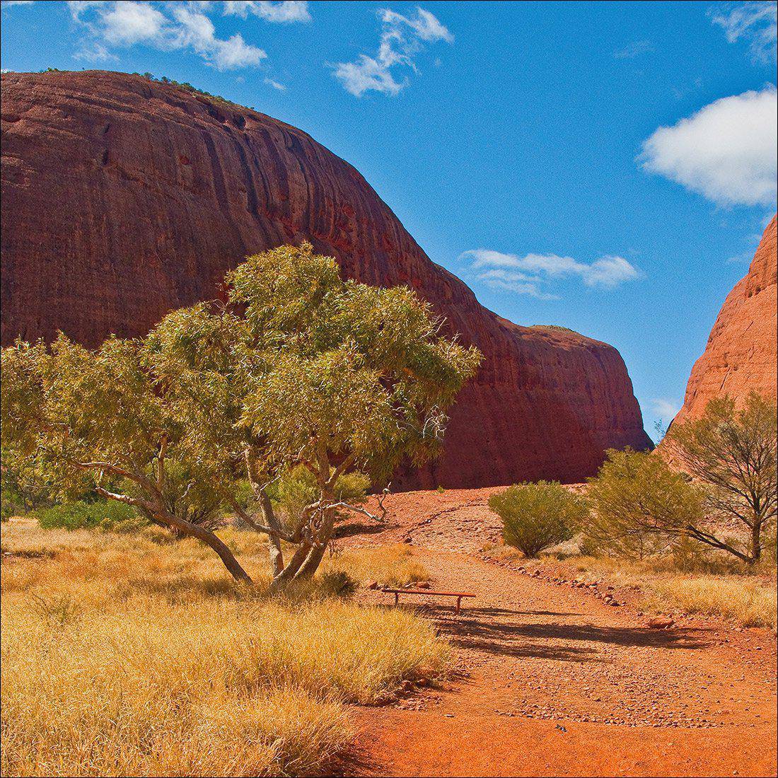 Into The Outback Canvas Art-Canvas-Wall Art Designs-30x30cm-Canvas - No Frame-Wall Art Designs