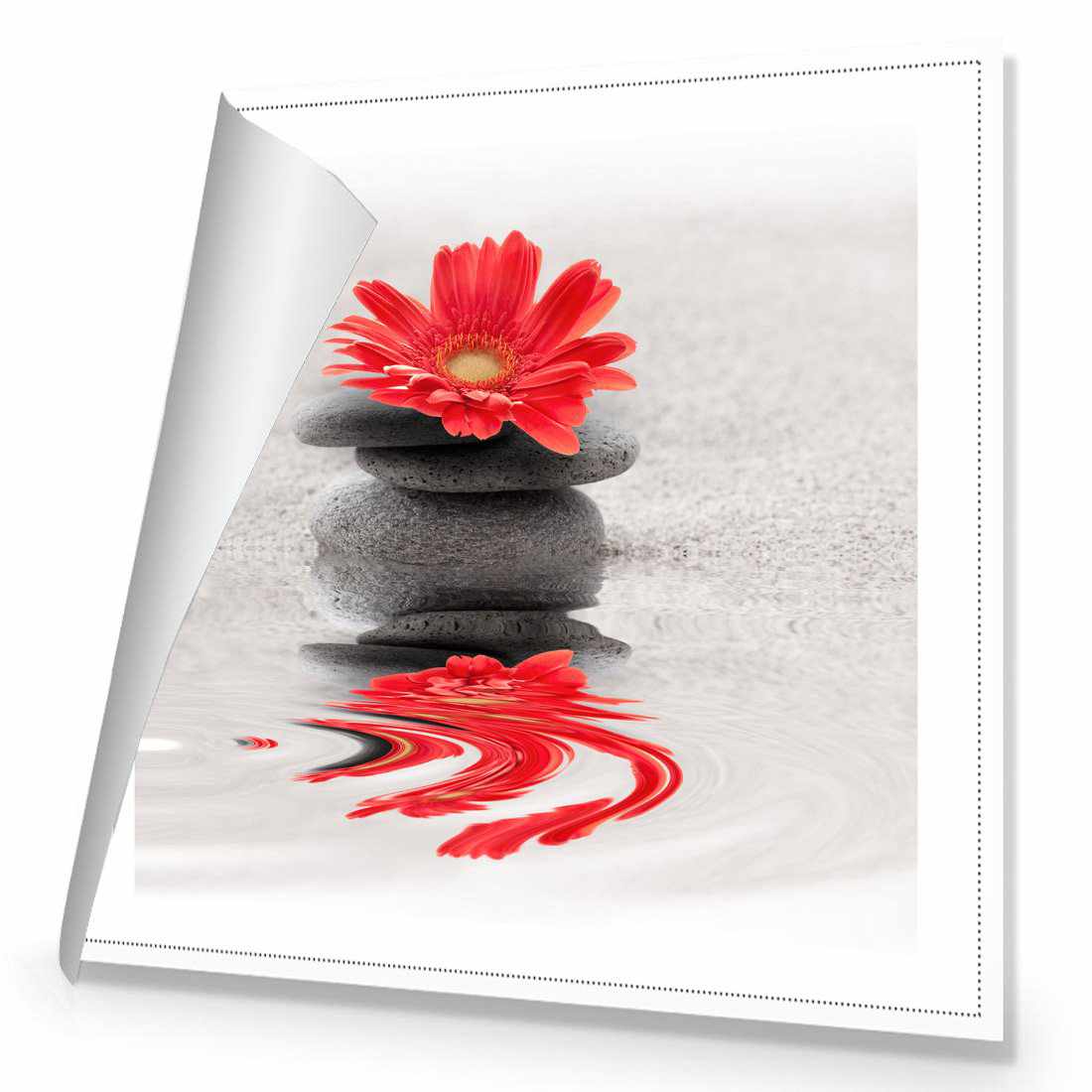 Red Flower Reflection, Square | Standard Canvas | No Frame | Rolled Canvas