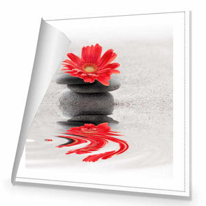 Red Flower Reflection, Square | Standard Canvas | No Frame | Rolled Canvas