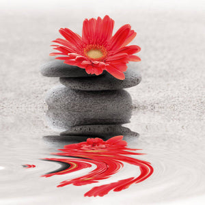 Red Flower Reflection, Square