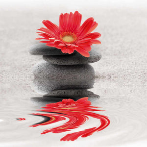 Red Flower Reflection, Square