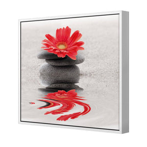 Red Flower Reflection, Square | Standard Canvas | Floating Frame | White