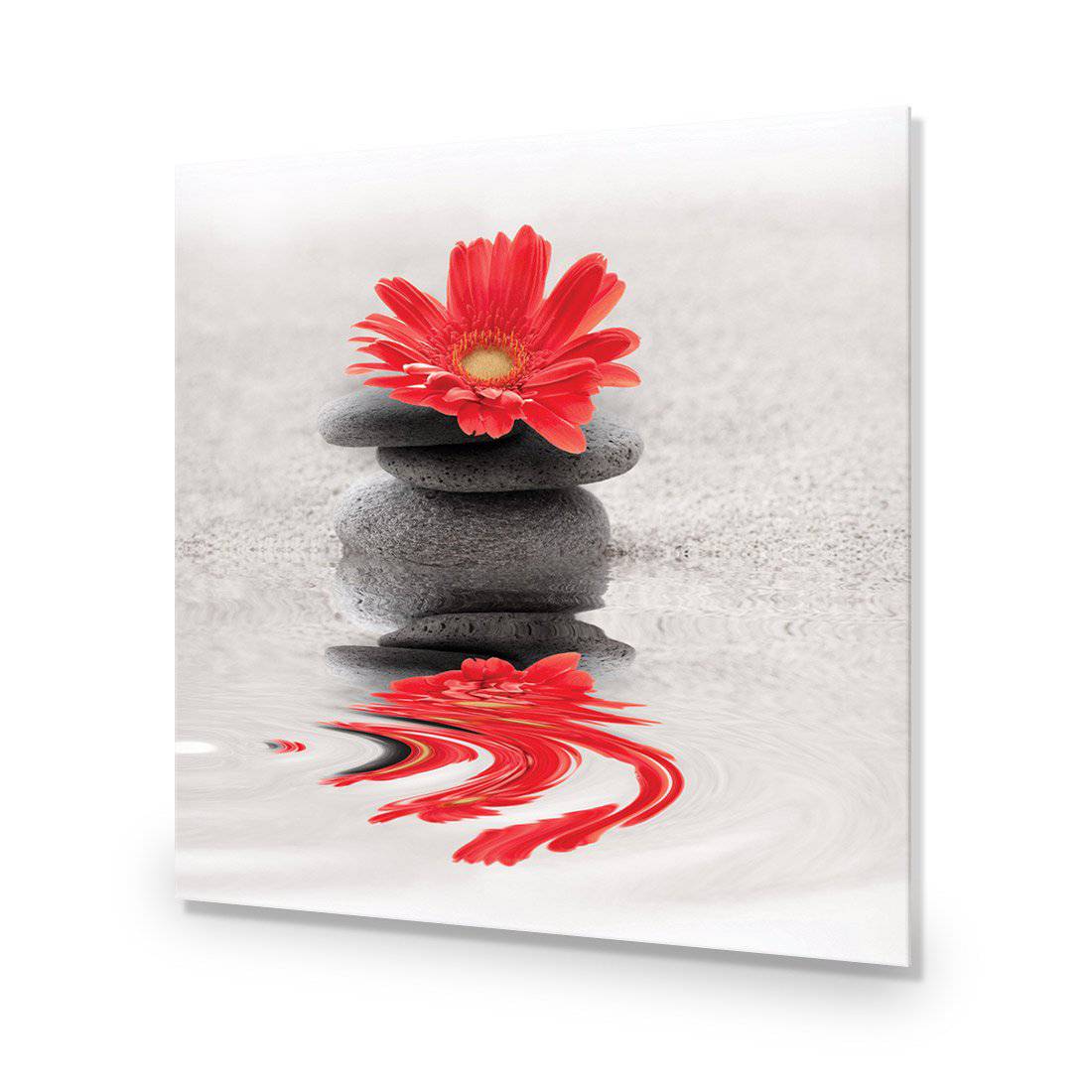 Red Flower Reflection, Square-Acrylic-Wall Art Design-Without Border-Acrylic - No Frame-37x37cm-Wall Art Designs