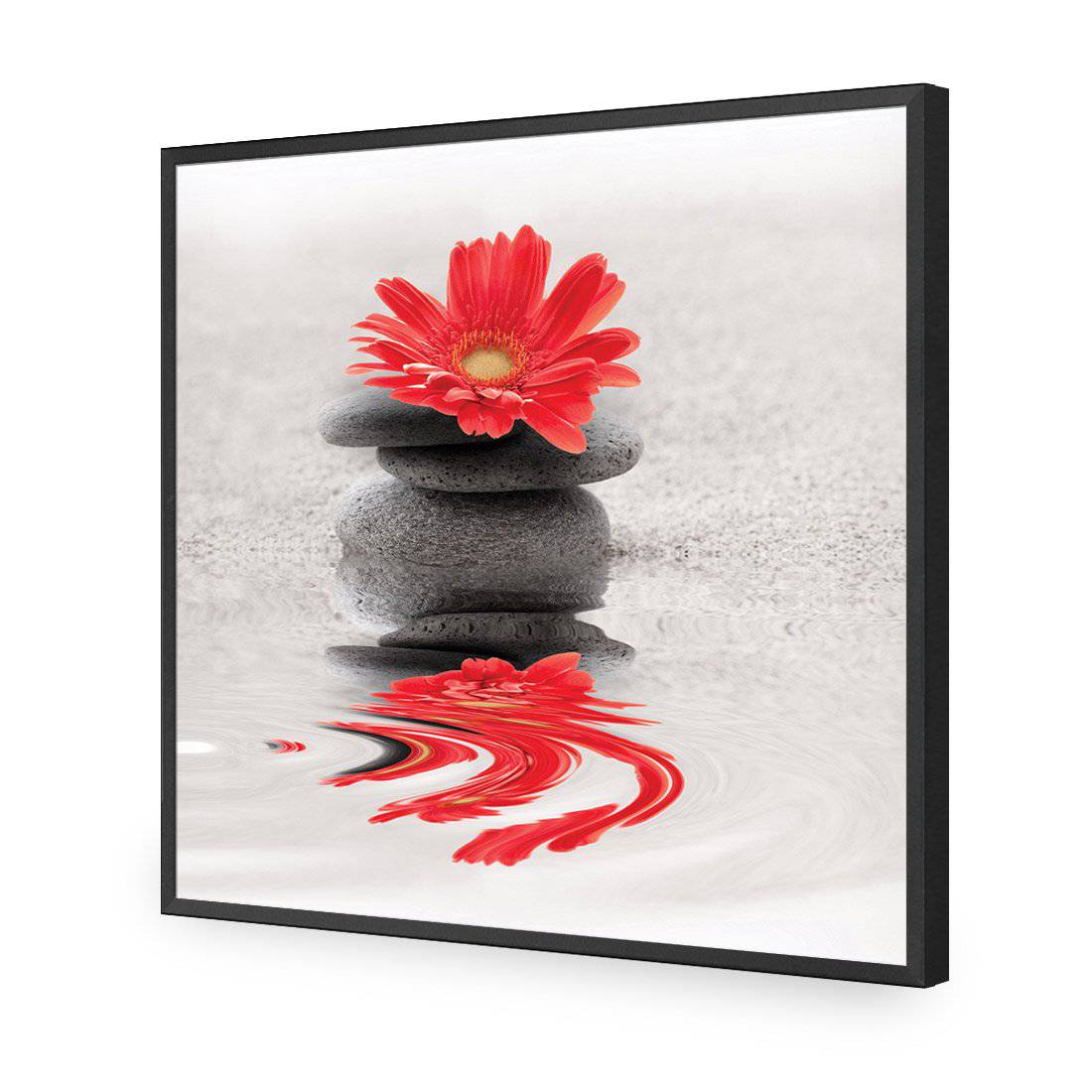 Red Flower Reflection, Square-Acrylic-Wall Art Design-Without Border-Acrylic - Black Frame-37x37cm-Wall Art Designs