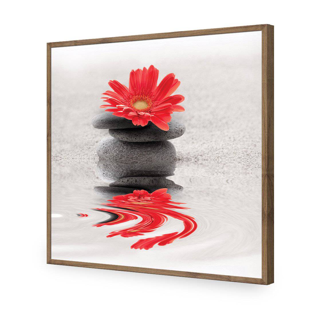 Red Flower Reflection, Square-Acrylic-Wall Art Design-Without Border-Acrylic - Natural Frame-37x37cm-Wall Art Designs