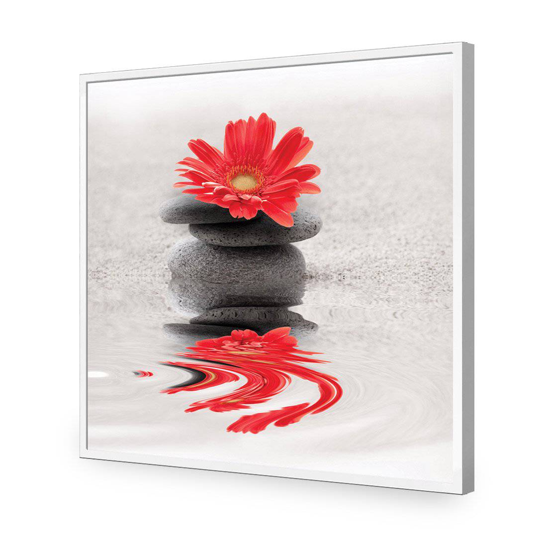 Red Flower Reflection, Square-Acrylic-Wall Art Design-Without Border-Acrylic - White Frame-37x37cm-Wall Art Designs
