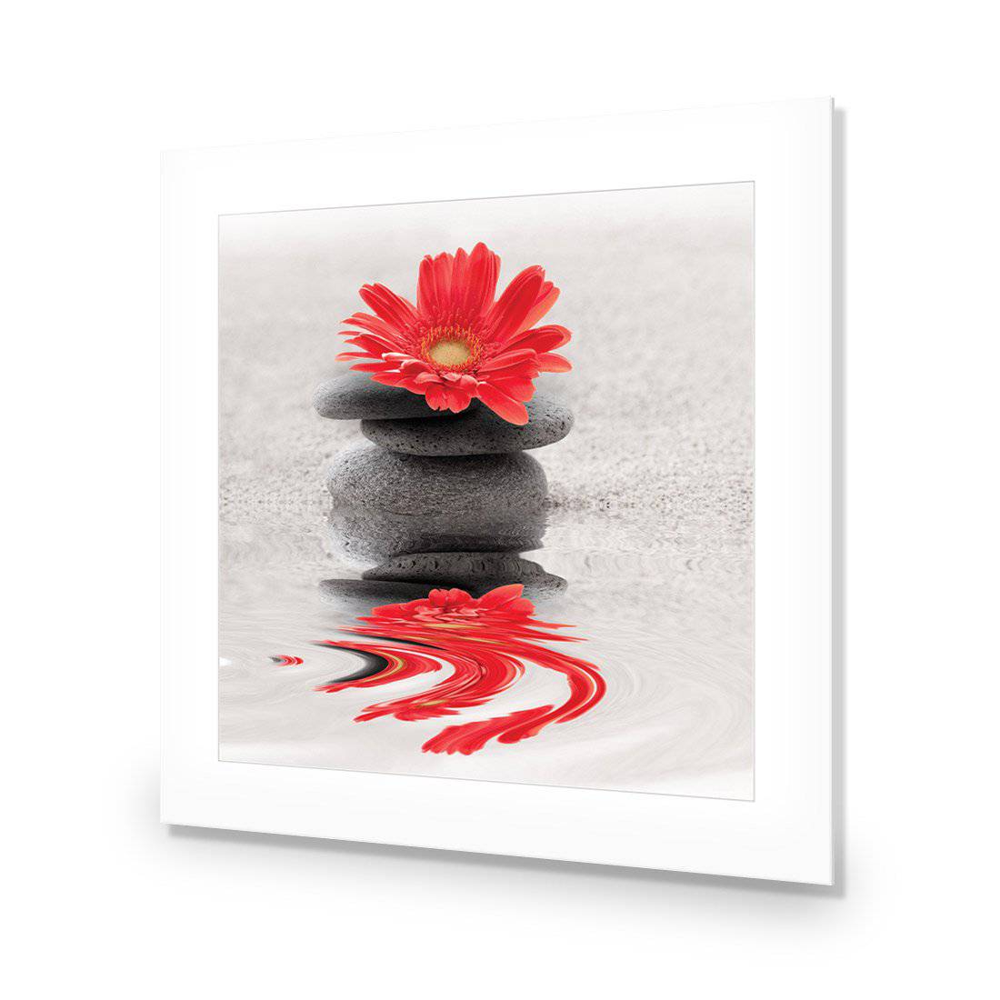 Red Flower Reflection, Square-Acrylic-Wall Art Design-With Border-Acrylic - No Frame-37x37cm-Wall Art Designs