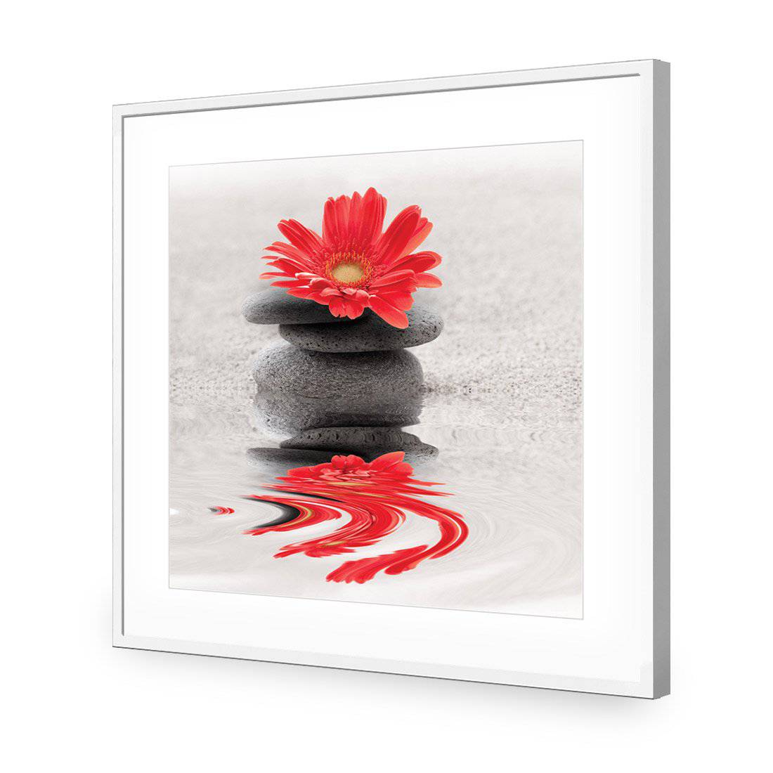 Red Flower Reflection, Square-Acrylic-Wall Art Design-With Border-Acrylic - White Frame-37x37cm-Wall Art Designs