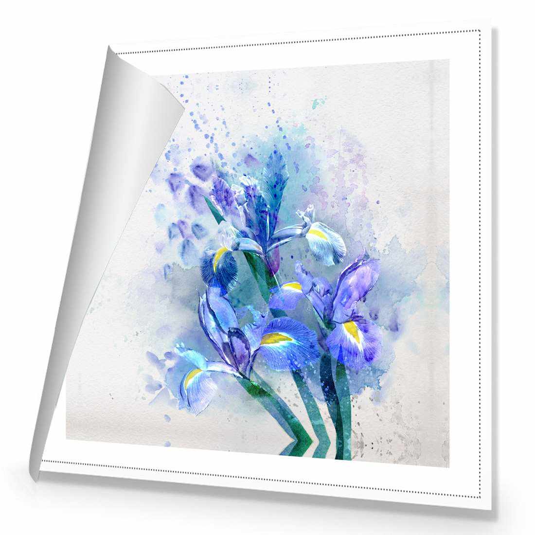 Iris Rain Canvas Art-Canvas-Wall Art Designs-30x30cm-Rolled Canvas-Wall Art Designs