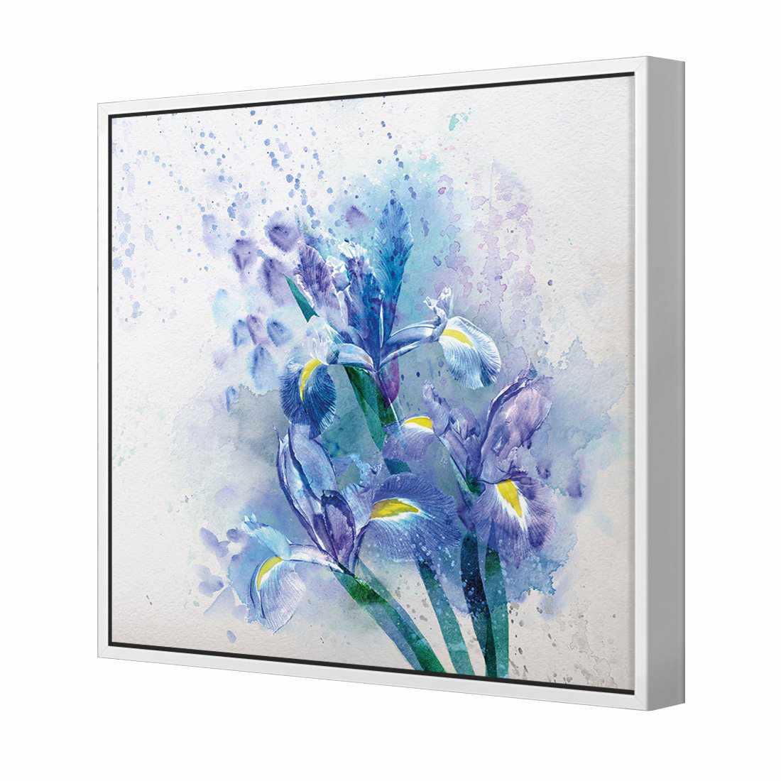 Iris Rain Canvas Art-Canvas-Wall Art Designs-30x30cm-Canvas - White Frame-Wall Art Designs