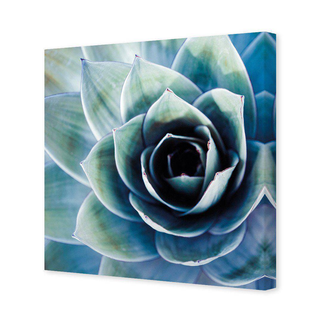 Intense Cactus Canvas Art-Canvas-Wall Art Designs-30x30cm-Canvas - No Frame-Wall Art Designs