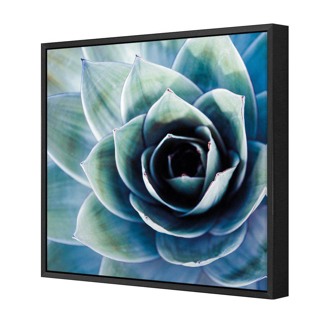 Intense Cactus Canvas Art-Canvas-Wall Art Designs-30x30cm-Canvas - Black Frame-Wall Art Designs