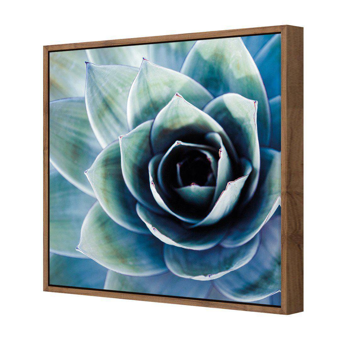 Intense Cactus Canvas Art-Canvas-Wall Art Designs-30x30cm-Canvas - Natural Frame-Wall Art Designs