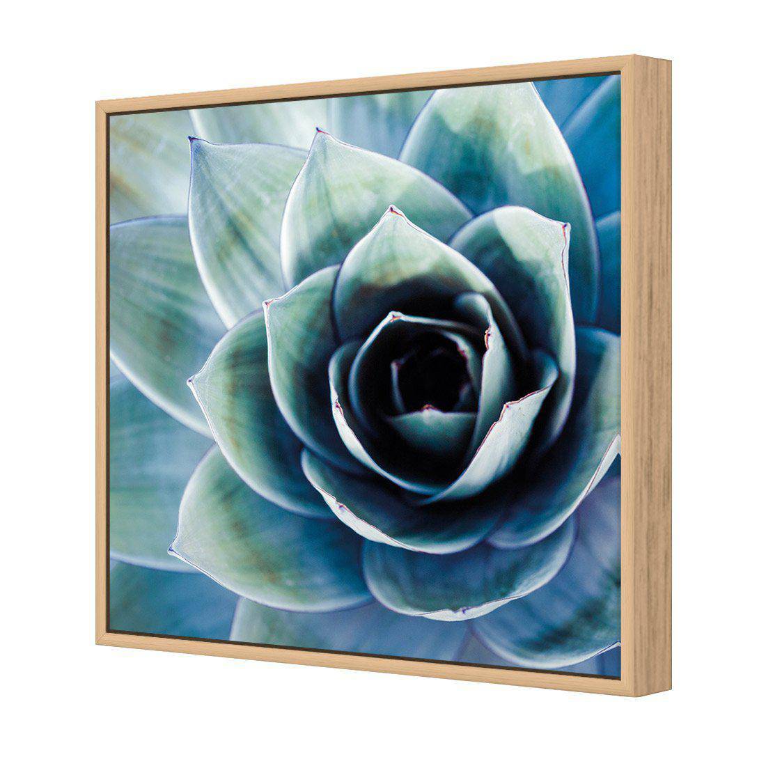 Intense Cactus Canvas Art-Canvas-Wall Art Designs-30x30cm-Canvas - Oak Frame-Wall Art Designs