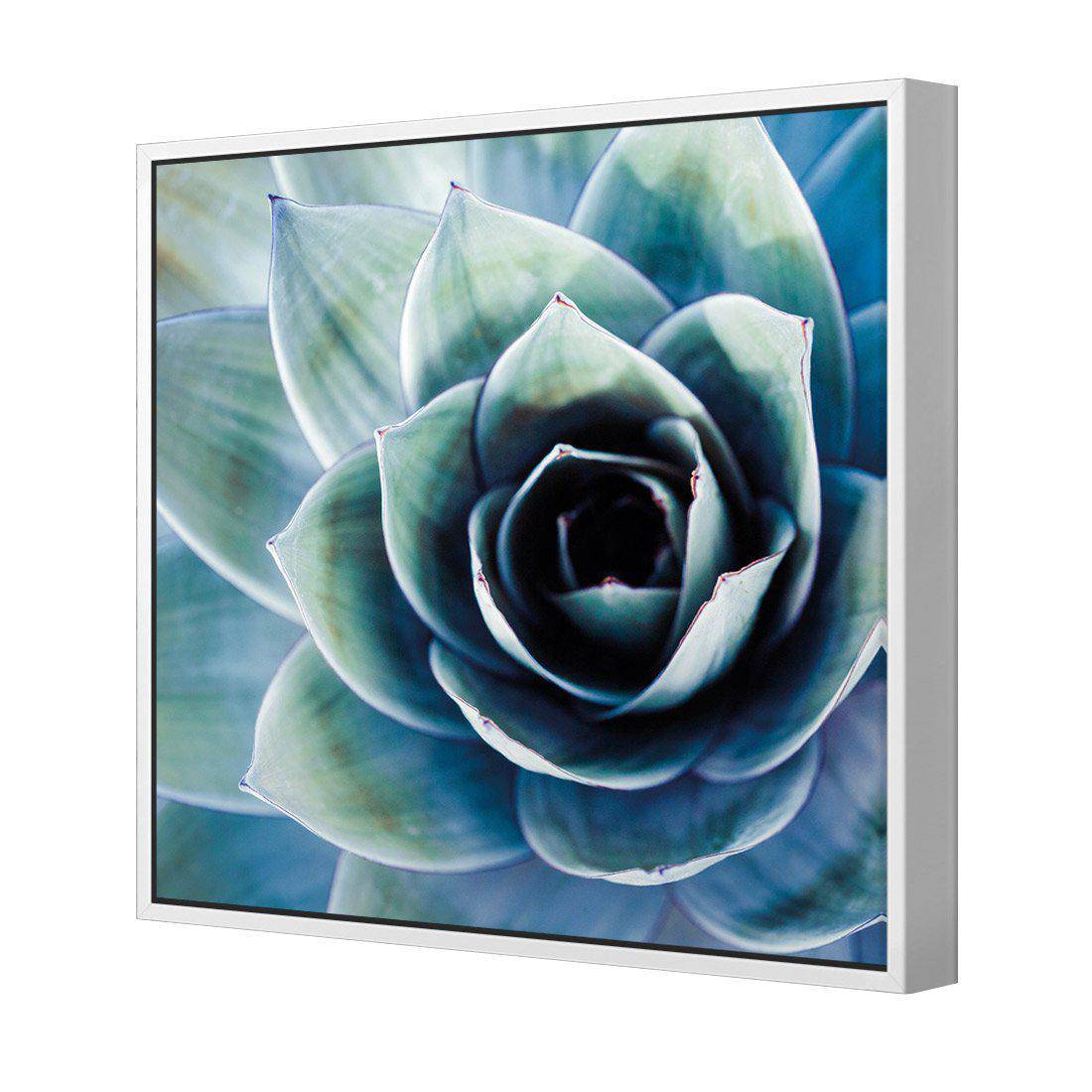 Intense Cactus Canvas Art-Canvas-Wall Art Designs-30x30cm-Canvas - White Frame-Wall Art Designs
