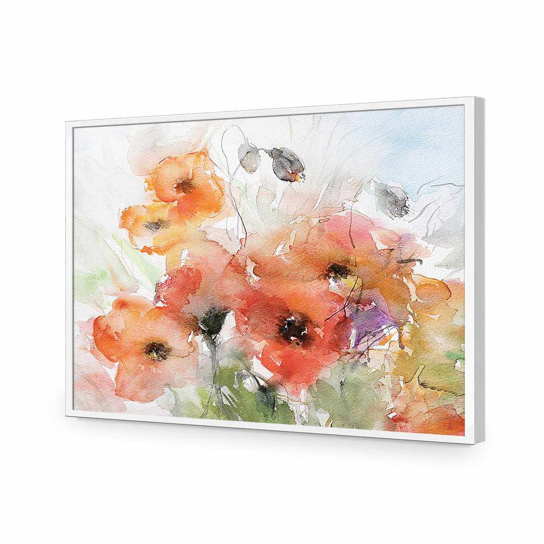 Watercolour Poppies-Acrylic-Wall Art Design-Without Border-Acrylic - White Frame-45x30cm-Wall Art Designs