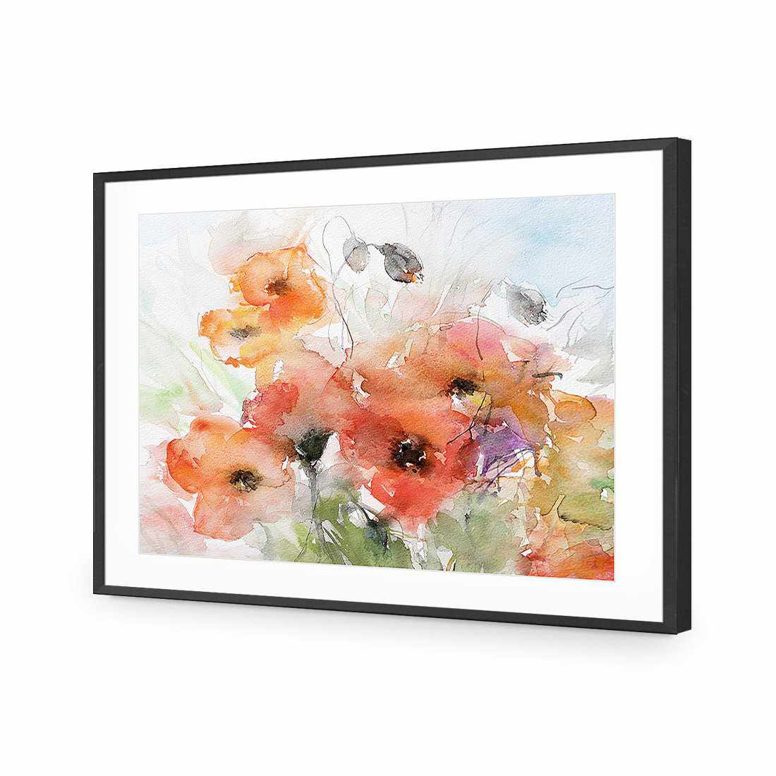 Watercolour Poppies-Acrylic-Wall Art Design-With Border-Acrylic - Black Frame-45x30cm-Wall Art Designs