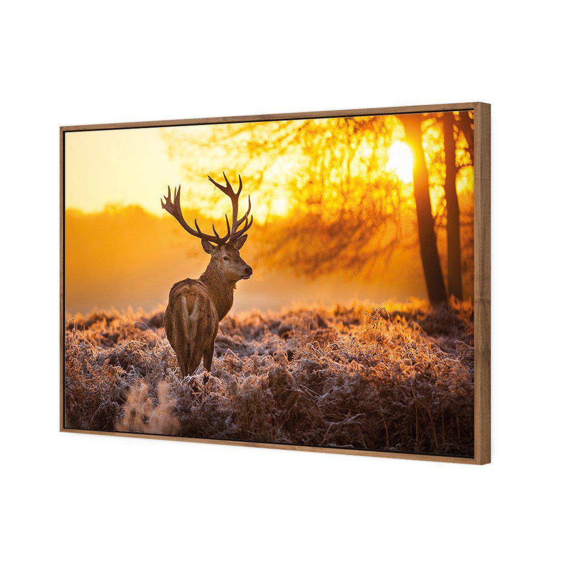 Sunset Deer Returns Canvas Art-Canvas-Wall Art Designs-45x30cm-Canvas - Natural Frame-Wall Art Designs