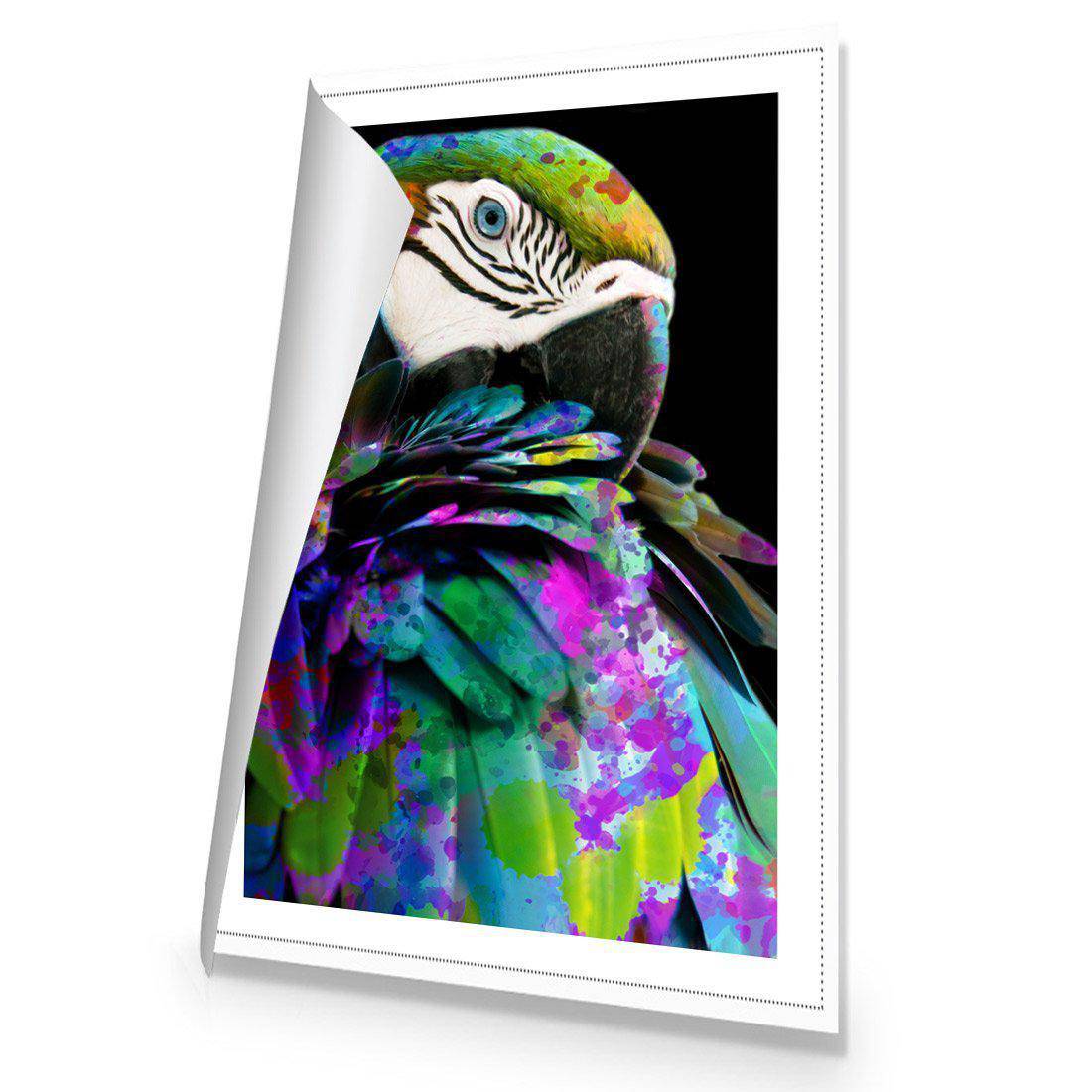 Coy Macaw Canvas Art-Canvas-Wall Art Designs-45x30cm-Rolled Canvas-Wall Art Designs