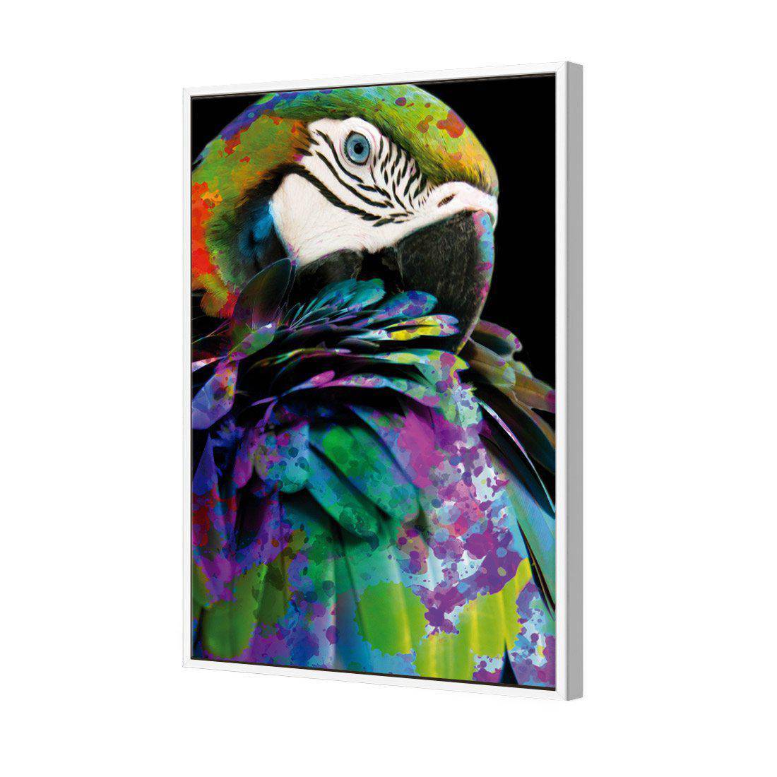 Coy Macaw Canvas Art-Canvas-Wall Art Designs-45x30cm-Canvas - White Frame-Wall Art Designs